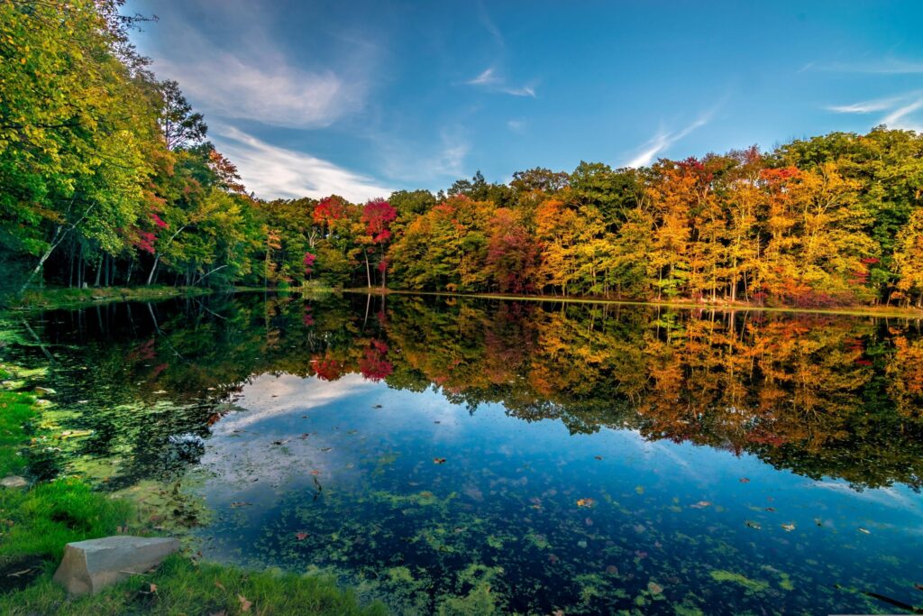 A calm lake reflects vibrant autumn trees with red, orange, and yellow foliage under a blue sky with wispy clouds. Grassy shore and scattered leaves border the tranquil water.