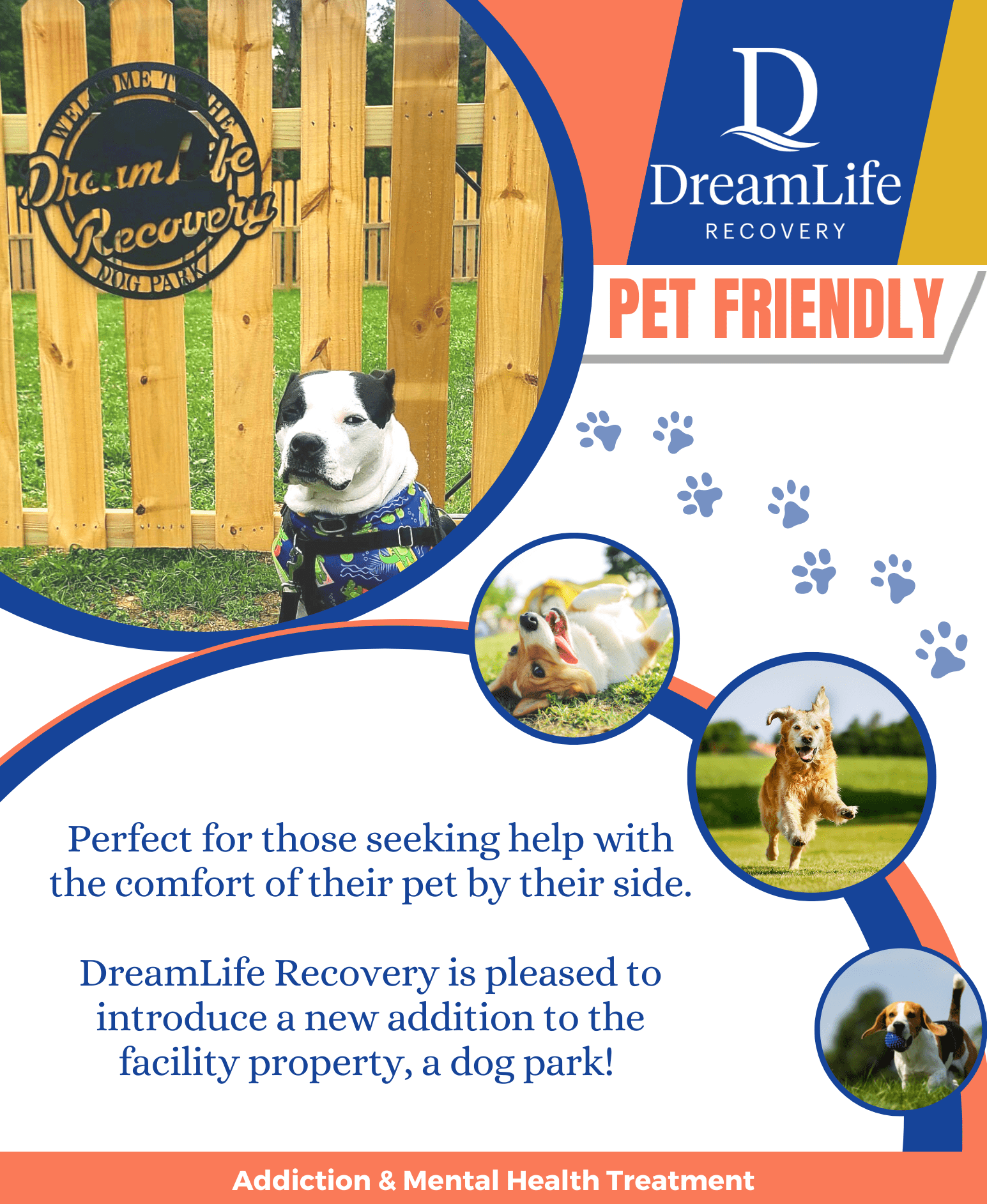 pet-friendly rehab flyer for dreamlife recovery, image of dogs running at facilities