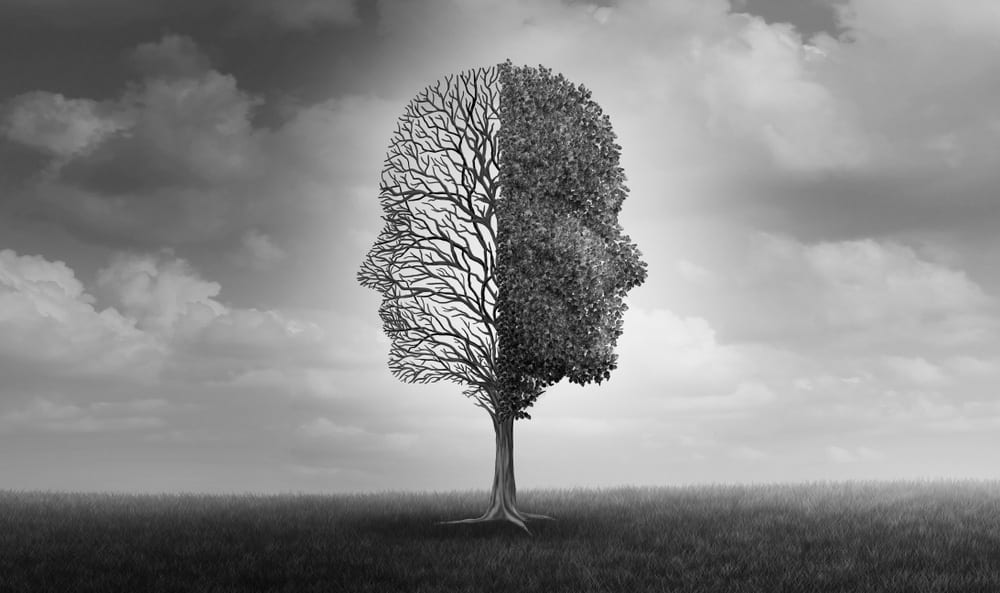 Dialectical Behavior Therapy (DBT)
