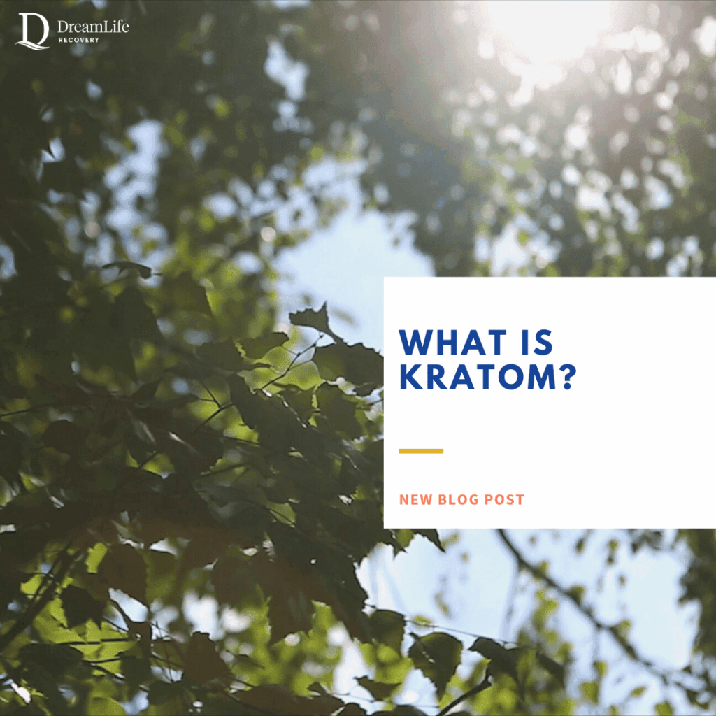 what is kratom