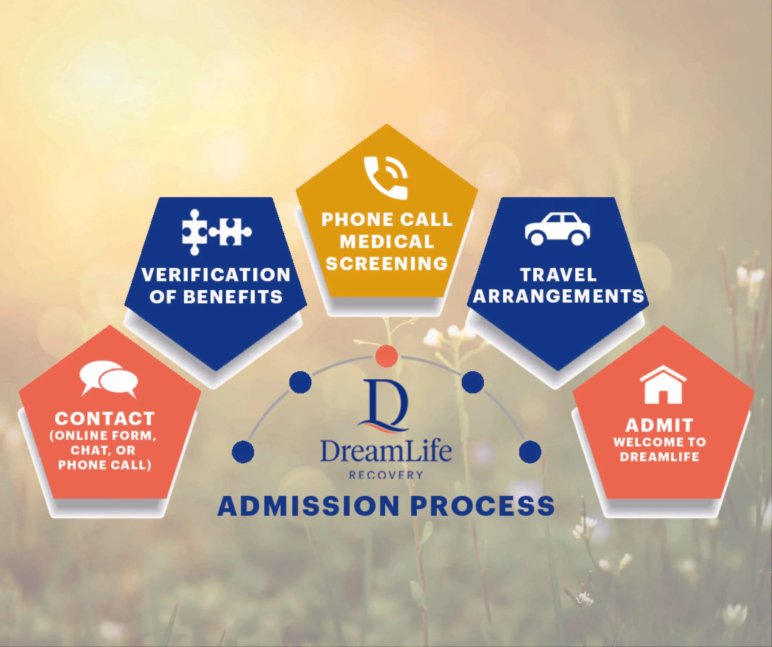 admissions graphic for dreamlife - steps