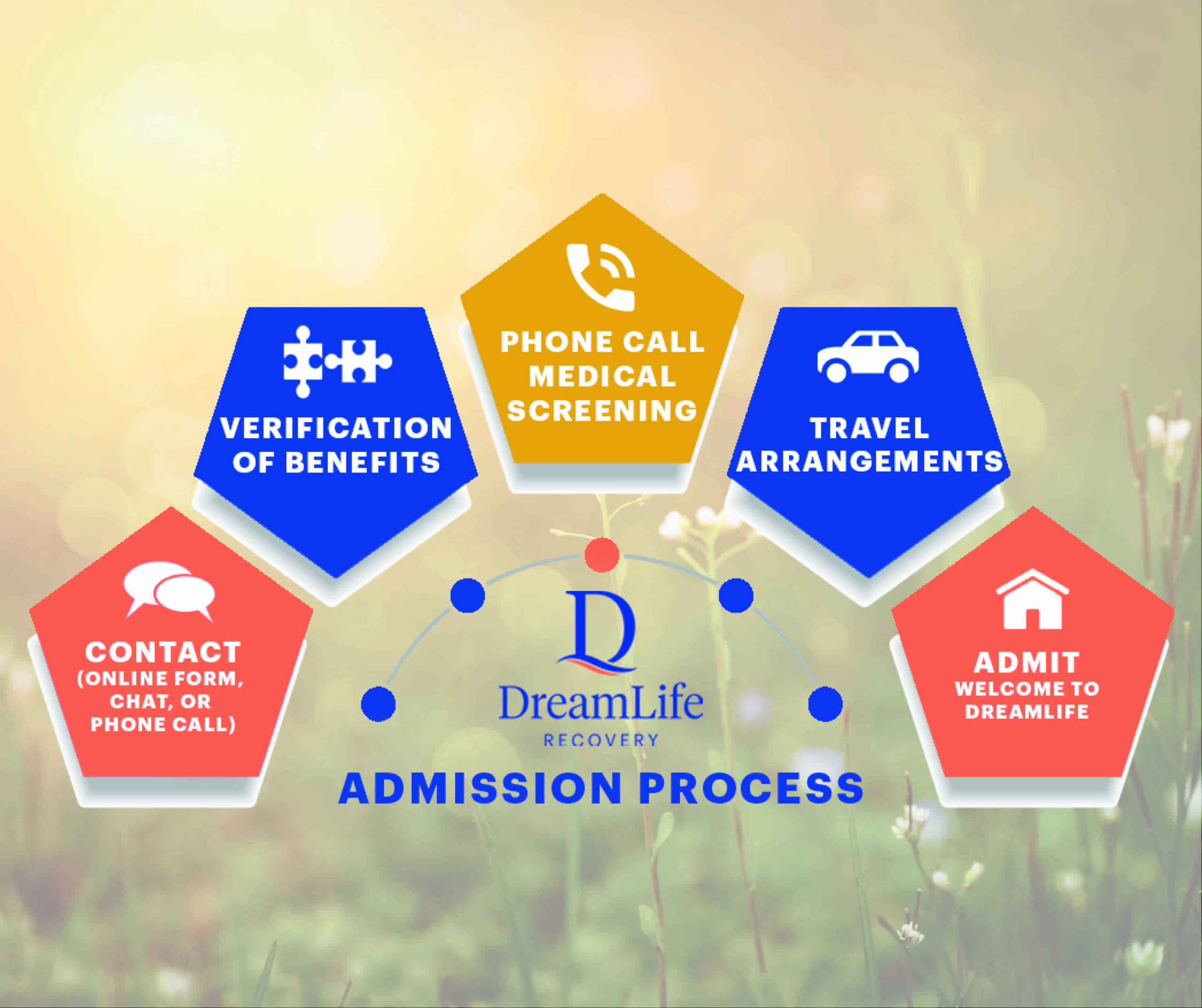 admissions graphic for dreamlife - steps