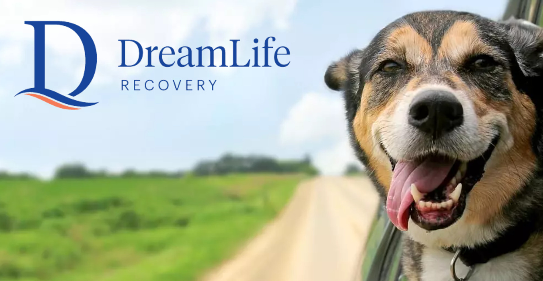 dreamlife logo and dog with head out car window driving on dirt road