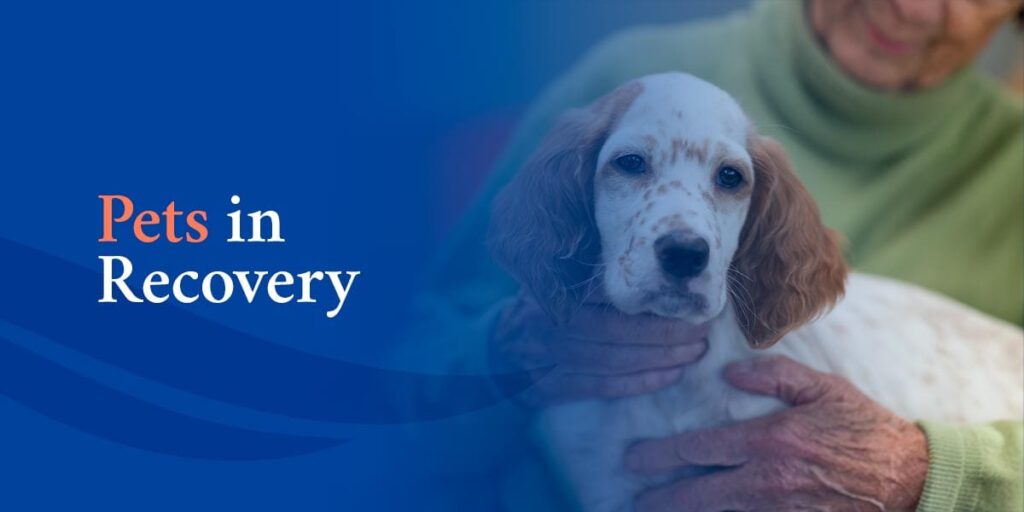 A person in a green sweater gently holds a white and brown puppy. The image features the text Pets in Recovery on a blue background.
